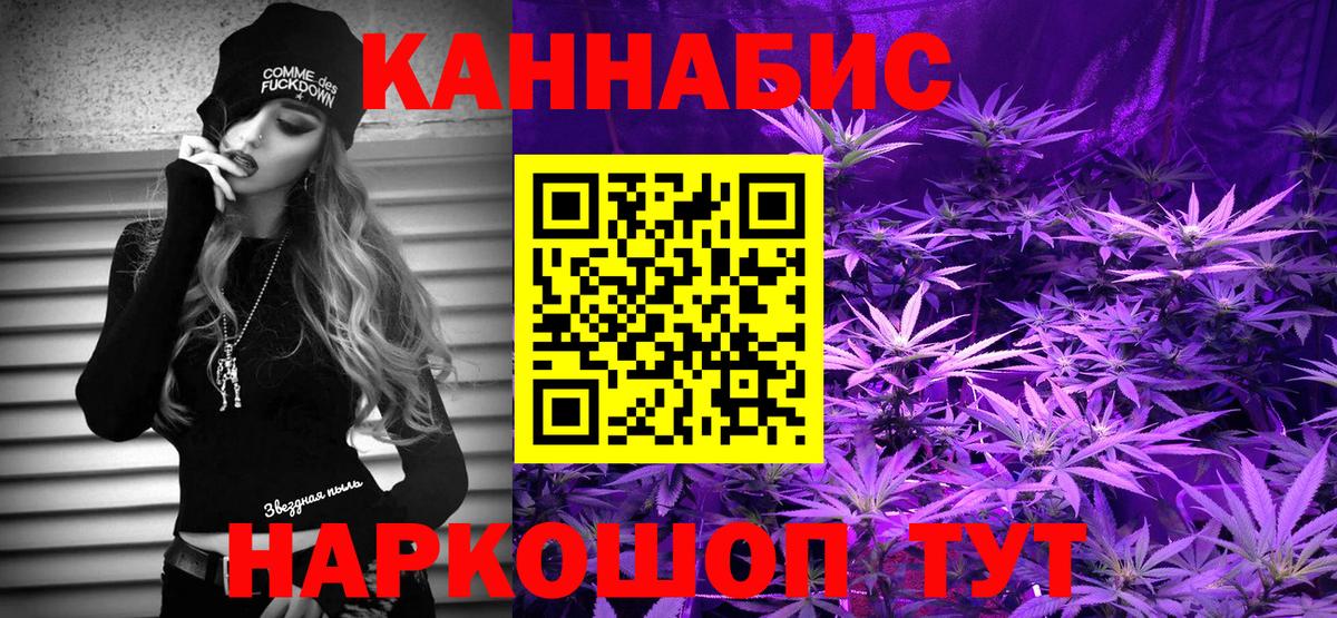 Каннабис SATIVA & INDICA Камышин